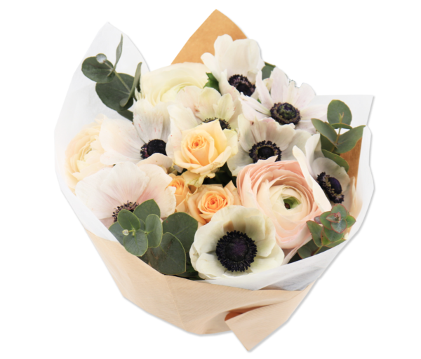 Ivory Anemone