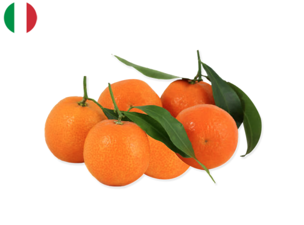 Mandarin, with leaves from Italy (Organic)