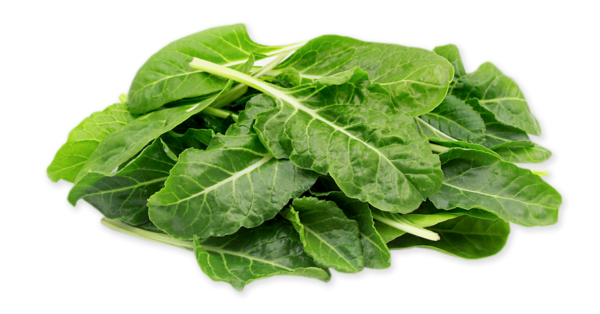 Chard, Mini from France (Organic)