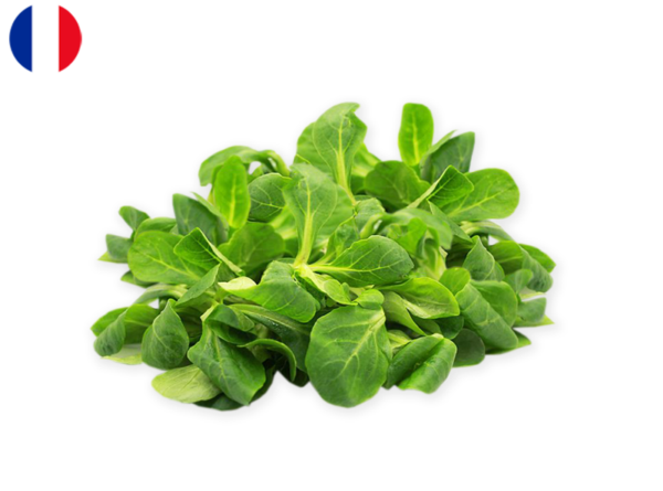 Lamb's Lettuce from France (Organic)