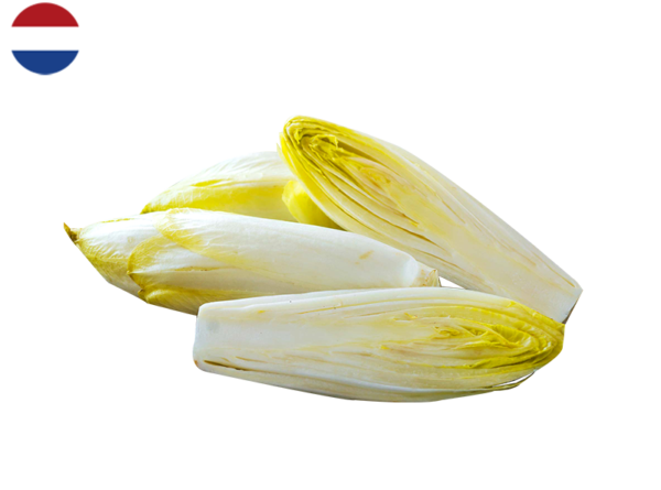 Endive, Witloof from the Netherlands (Organic)