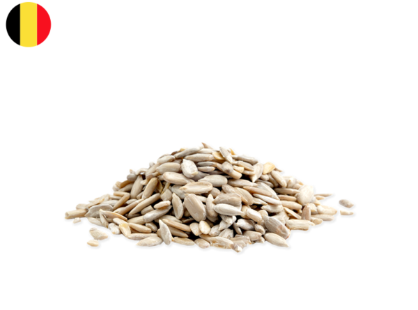 Sunflower Seeds from Belgium (Organic)