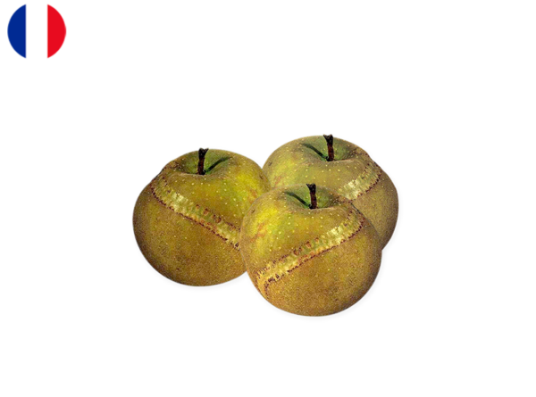 Apple, Wolf's Paw from France (Organic)