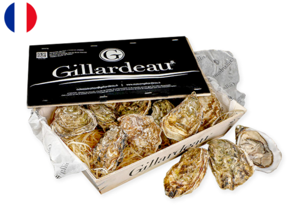 Oysters, Gillardeau Spéciale N°2 (x24)