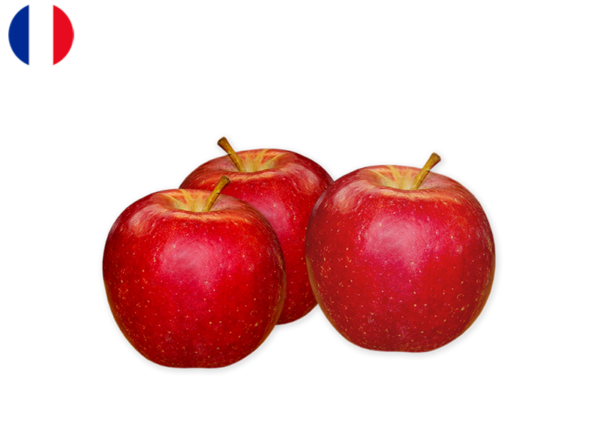 Apple, Rougelle from France (Organic)
