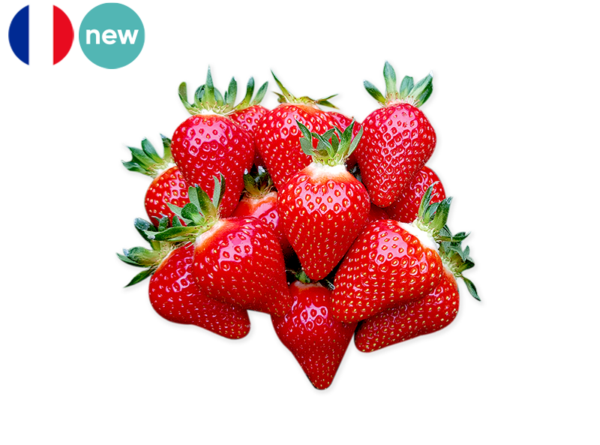 Strawberry, Favori from France (Organic)