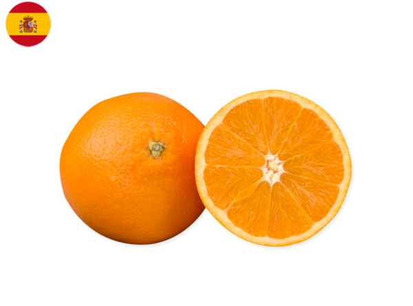 Orange, Chislett from Spain (Organic)