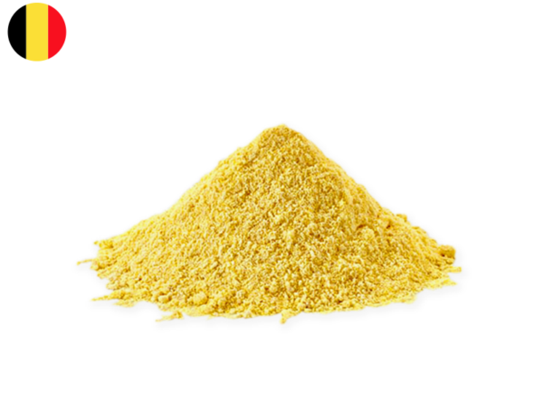 Polenta, Instant Flour from Belgium (Demeter Biodynamic)