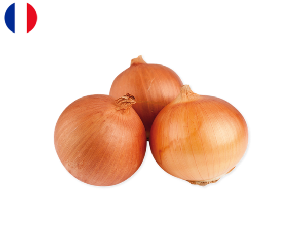 Onion, Yellow from France (Organic)