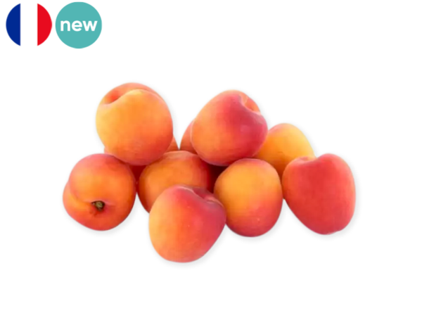 Apricot, Tsunami from France (Organic)