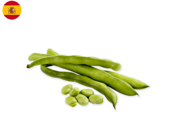 Beans, Broad from Spain(Organic)