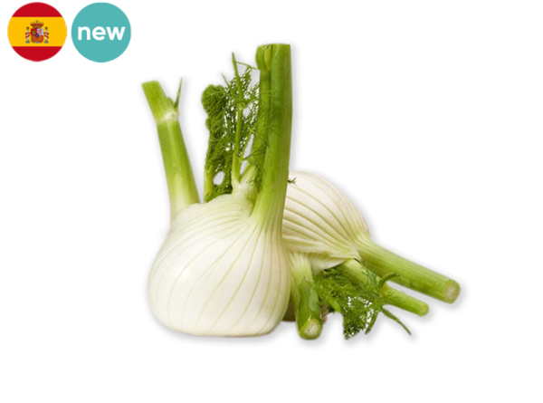 Fennel from Spain (Organic)