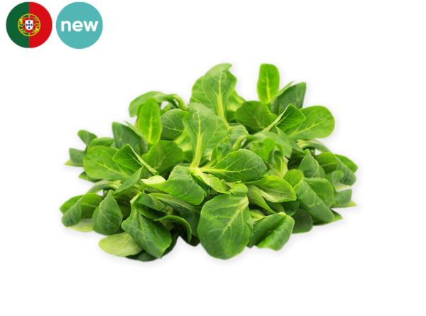 Lamb's Lettuce from Portugal