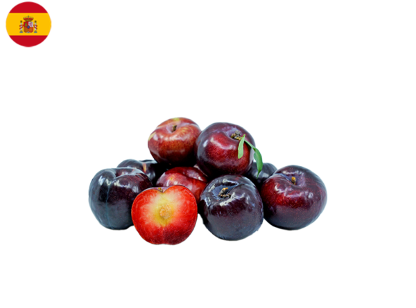 Plum, Black Splendor from Spain (Organic)