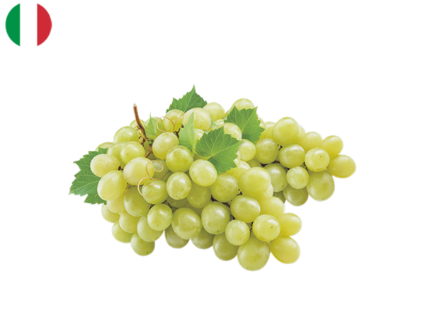 Grape, White Italia from Italy (Organic)
