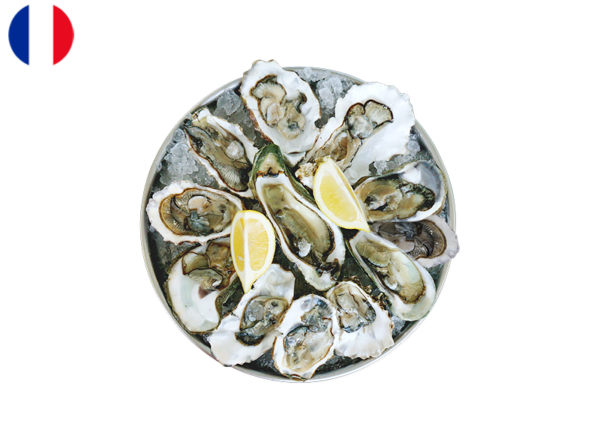 Oysters from Normandy N°3 (x12)