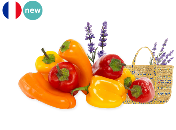 Pepper, Mix Mini from France (Organic)