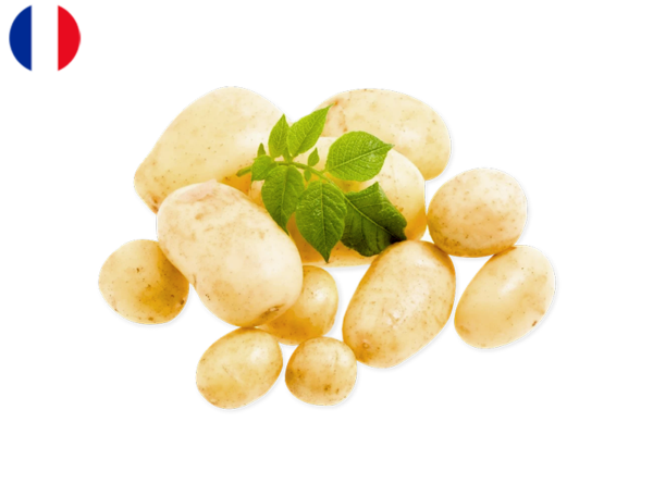 Potato, Grenaille from France (Organic)