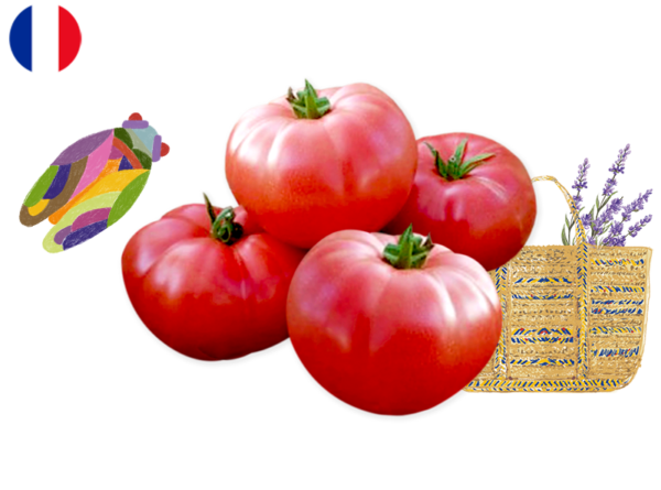Tomato, Generose from France (Organic)