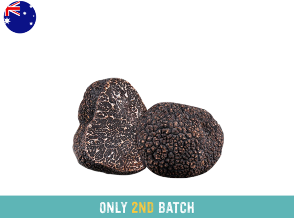 Tuber Melanosporum Truffle, Fresh from Australia