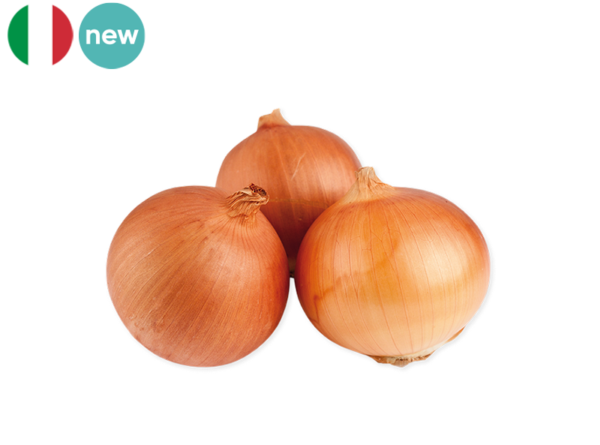 Onion, Red from Italy (Organic)