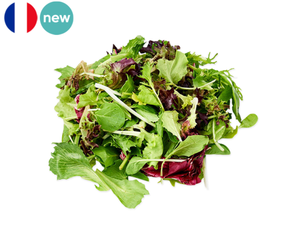 Salad, Mesclun from France (Organic)