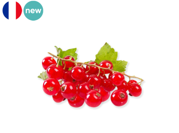 Red Currant from France (Organic)