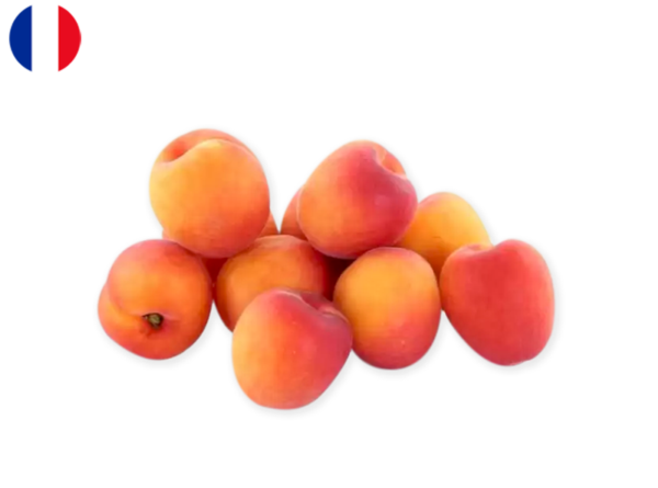 Apricot, Bergarouge from France (Organic)