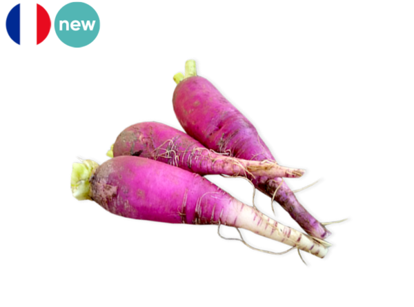 Radish, Long Blue from France (Organic)