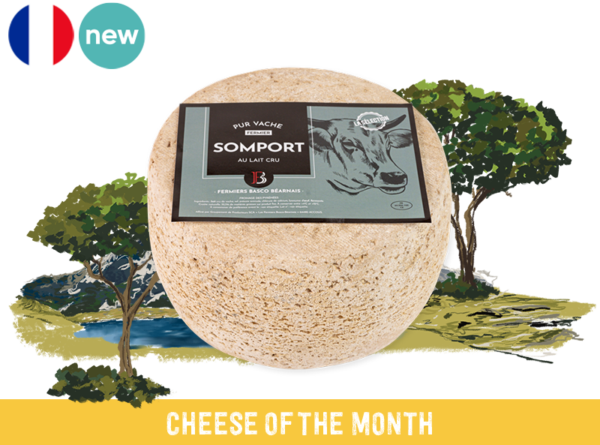 Tomme Somport Fermière des Pyrénées