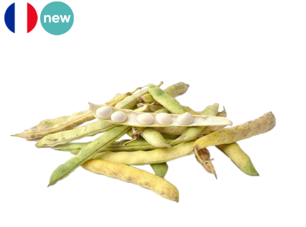 Bean, Coco de Paimpol AOC from France (Organic)