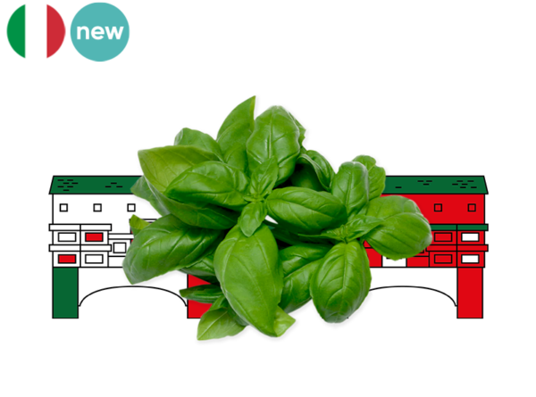 Basil, Fresh from Italy
