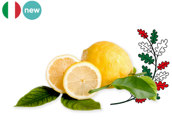 Lemon, Amalfi with leaves from Italy