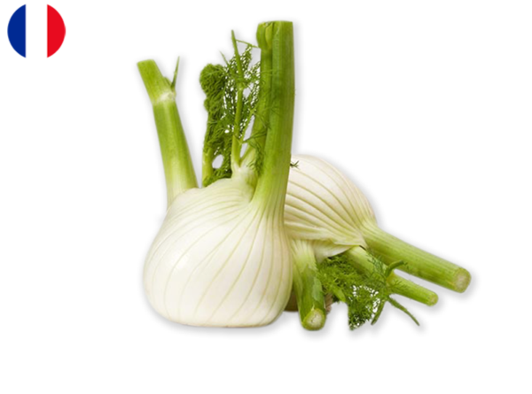 Fennel from France (Organic)