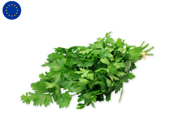Parsley, Flat from Europe