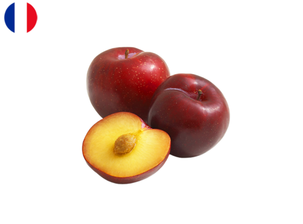 Plum, Red Fortuna from France (Organic)