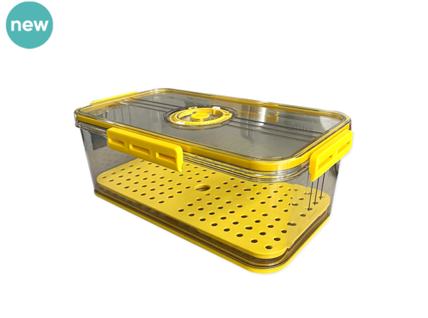 Box for Cheese (Medium Size)