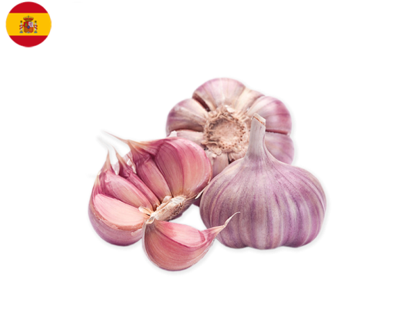 Garlic, Purple from Spain (Organic)