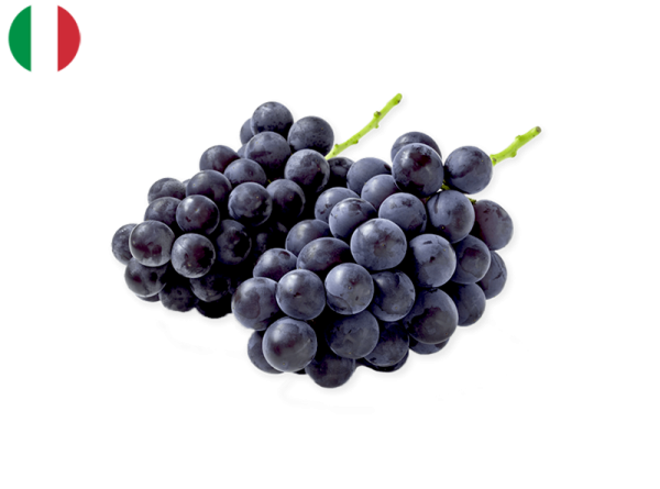 Grape, Black from Italy (Organic)