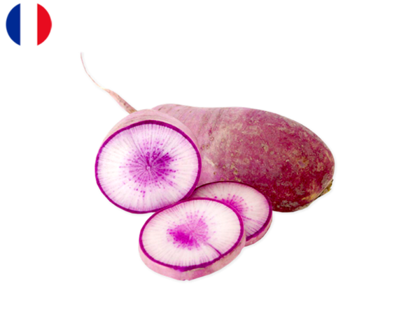 Radish, Blue Meat from France (Organic)