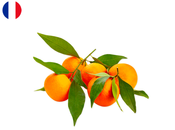 Clementine from Corsica, France