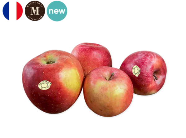 Apple, Fuji from France - Mouneyrac