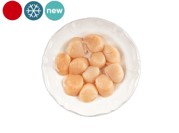 Scallop Meat without Coral (Frozen)