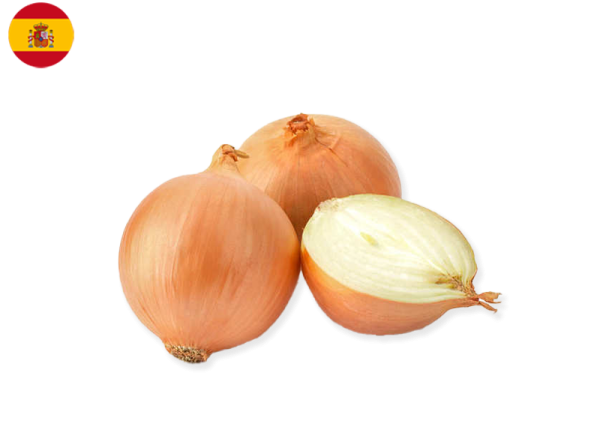 Onion, Half Dry from Spain (Organic)