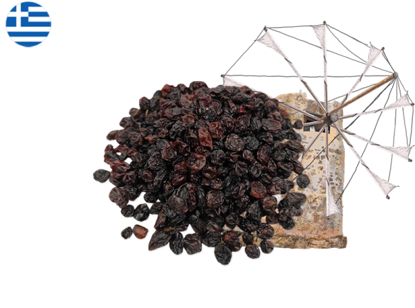 Raisin from Corinthe, Greece