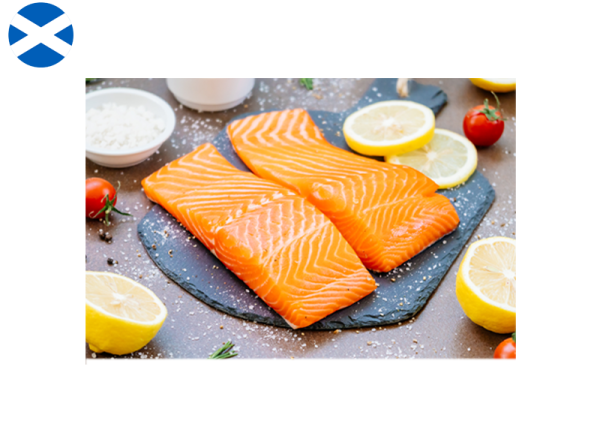 Salmon Fillet (Chilled)