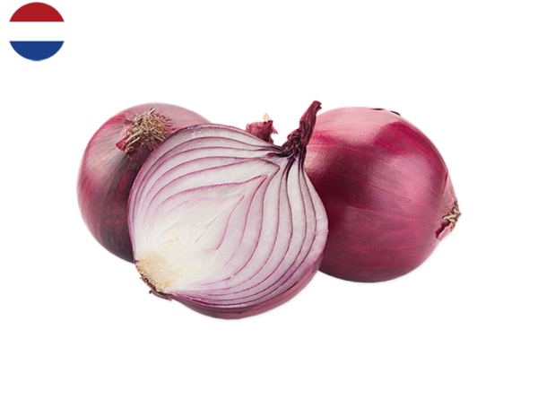 Onion, Red from the Netherlands (Demeter Biodynamic)