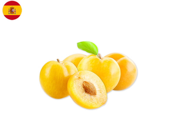 Plum, Yellow from Spain (Organic)