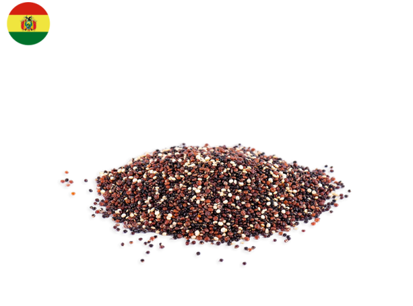 Quinoa, Tricolour from Bolivia (Organic)