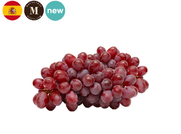 Grape, Black Seedless from Spain - Mouneyrac